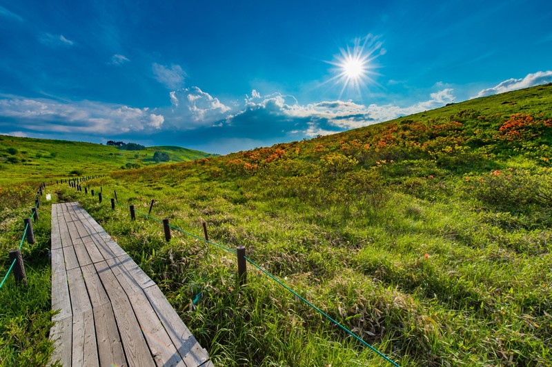 10月のまんまる堂