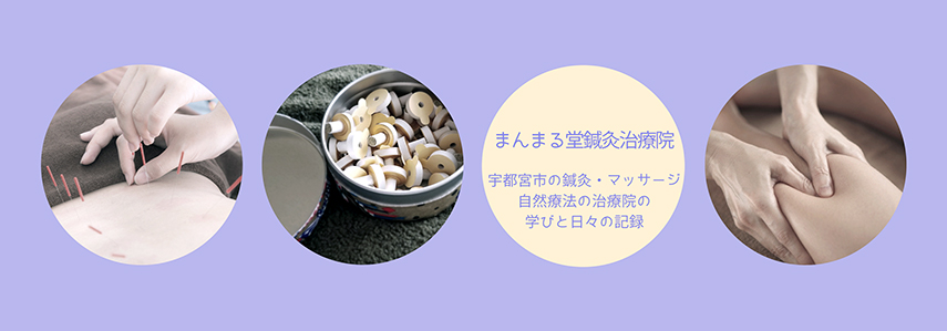 治療院別館ブログデザイン