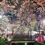 4月のまんまる堂